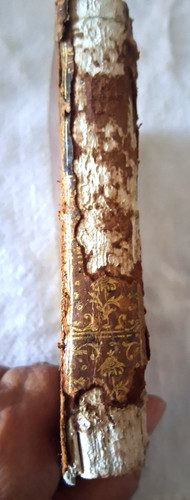 Libro antico tomo delle - antico,